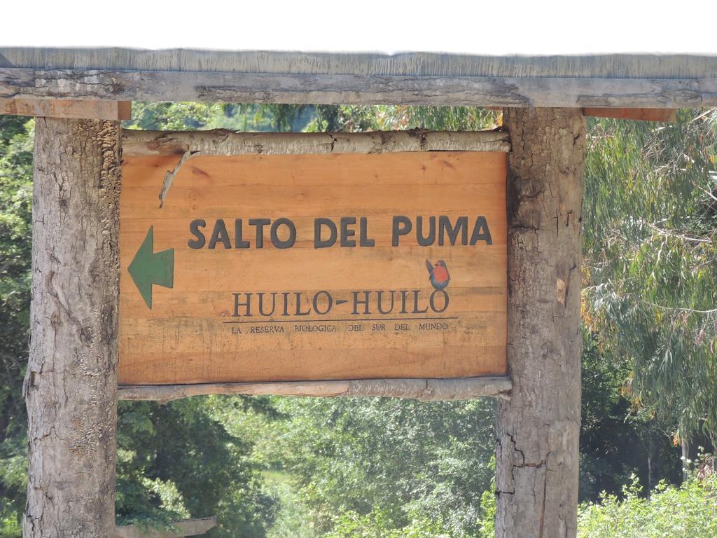 Huilo Huilo Hostal Salto El Puma Puerto Fuy Camera foto